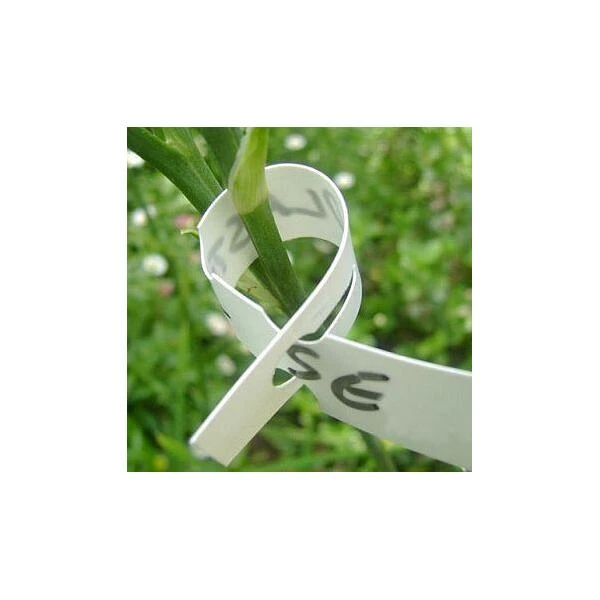 Sleufetiketten - Plantenlabels Wit - Set Van 1000 Stuks 4 Sleufetiketten - Plantenlabels Wit - Set Van 1000 Stuks - Afbeelding 2