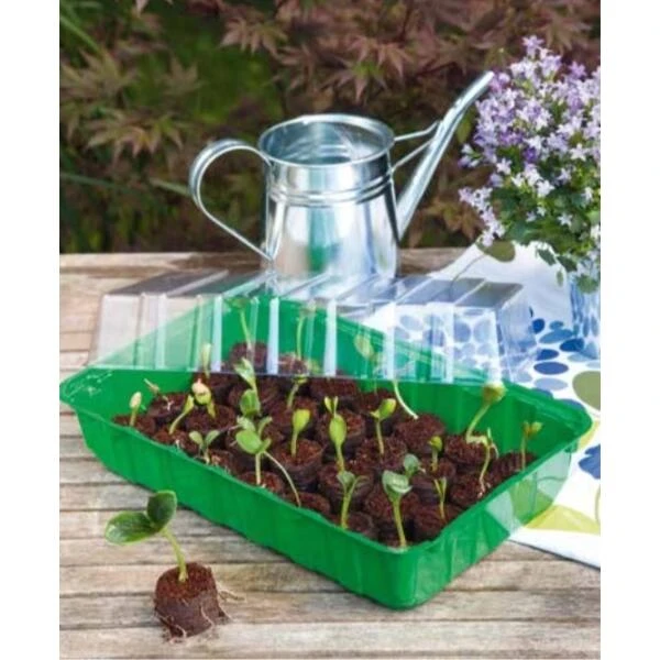 Zaaischaal Met Deksel 36 × 22 × 13 Cm 4 Zaaischaal Met Deksel 36 × 22 × 13 Cm - Afbeelding 2