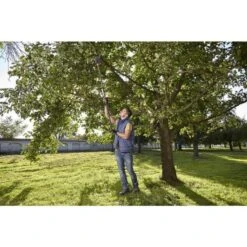 Takkenschaar Starcut 160 Plus GARDENA 10 Takkenschaar Starcut 160 Plus GARDENA -Tuinadvies 1606834549 3 600