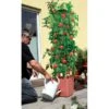 Plantentoren Maxitom Met Waterreservoir - Terracotta -Tuinadvies 1677510667 1 600