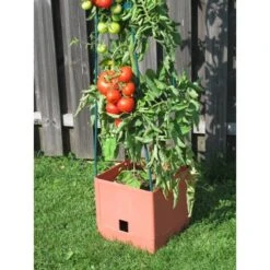 Plantentoren Maxitom Met Waterreservoir - Terracotta 10 Plantentoren Maxitom Met Waterreservoir - Terracotta -Tuinadvies 1677510667 3 600