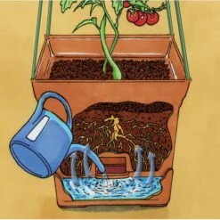 Plantentoren Maxitom Met Waterreservoir - Terracotta 11 Plantentoren Maxitom Met Waterreservoir - Terracotta -Tuinadvies 1677510668 5 600