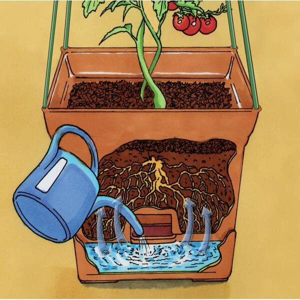 Plantentoren Maxitom Met Waterreservoir - Terracotta 6 Plantentoren Maxitom Met Waterreservoir - Terracotta - Afbeelding 4