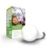 Ledlamp Voor Groeilamp Florabooster 500 - 6,5 W -Tuinadvies 1677580433 1 600