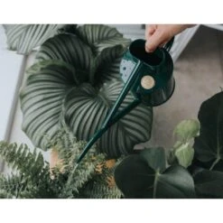 Haws Kamerplantengieter The Fazeley Flow 1 L - Groen 8 Haws Kamerplantengieter The Fazeley Flow 1 L - Groen -Tuinadvies 1686734925 3 600