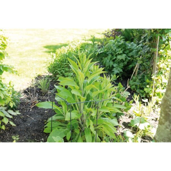 Sogo Plantensteun Koppelbaar 30 X 76 Cm 4 Sogo Plantensteun Koppelbaar 30 X 76 Cm - Afbeelding 2