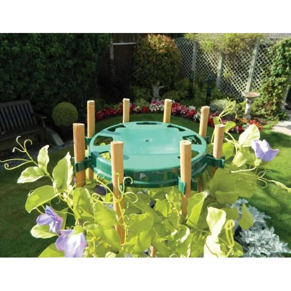 Bamboehouder Bonen En Erwten - Groen 4 Bamboehouder Bonen En Erwten - Groen - Afbeelding 2