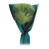 Beschermhoes Palmboom - Groen - 150 Cm -Tuinadvies beschermhoes palmboom 150 cm 1674116728 1 600