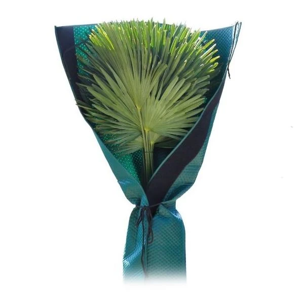 Beschermhoes Palmboom - Groen - 150 Cm 3 Beschermhoes Palmboom - Groen - 150 Cm