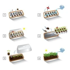 Binnenkas BoQube Plus Romberg - 41 × 17 × 23 Cm -Tuinadvies binnenkas boqube 41 x 17 x 23 cm 1656509792 5 600