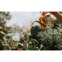 Haws Gieter 1 L - Koper -Tuinadvies gieter haws 1 l koper 1659089480 2 600