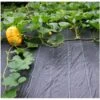 Gronddoek 3 × 6 M (90 G/m²) -Tuinadvies gronddoek 3 x 6 m 90 gm 1615194890 1 600