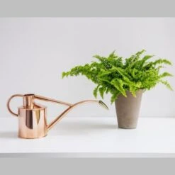 Haws Giftbox Gieter En Vernevelaar - Koper -Tuinadvies haws giftbox koper 1485175232 0 600