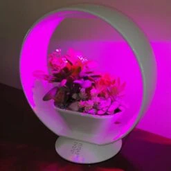 Mini Tuin Jardin Secret Met Verlichting En Bluetooth - Rond 7 Mini Tuin Jardin Secret Met Verlichting En Bluetooth - Rond -Tuinadvies jardin secret met bluetooth rond 1602065218 3 600