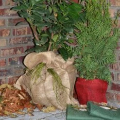 Jutezak - Naturel - 60 × 80 Cm 9 Jutezak - Naturel - 60 × 80 Cm -Tuinadvies jutezak 60 x 80 naturel 1486635322 0 600