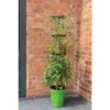 Klimplantentoren 150 Cm Met Bewateringssysteem - Groen -Tuinadvies klimplantentoren met bewateringssysteem 1519073626 1 600