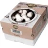 Kweekset 7,5 Liter Witte Champignons 2 Kweekset 7,5 Liter Witte Champignons -Tuinadvies kweekset witte champignons 3 l 1486032924 0 600