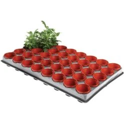 Tray Met 40 Kweekpotjes 6 Cm -Tuinadvies kweektray 40 potjes 6 cm 1599819541 1 600