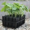 Kweektray Deep Roots - 32 Cellen -Tuinadvies kweektray deep roots 32 cellen 1487673472 0 600