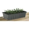Kweektray Rapid Roots - 32 Cellen -Tuinadvies kweektray rapid roots 32 cellen 1487674841 0 600
