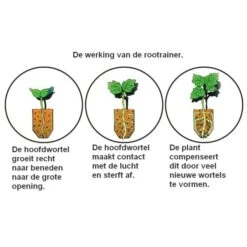Kweektray Rapid Roots - 32 Cellen -Tuinadvies kweektray rapid roots 32 cellen 1487680788 0 600
