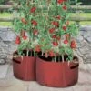 Kweekzak Tomaten 40 Liter - Set Van 2 Stuks 2 Kweekzak Tomaten 40 Liter - Set Van 2 Stuks -Tuinadvies kweekzak voor tomaten 40 liter 1487756657 0 600