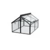 Vitavia Gaia Jumbo Miniserre Aluminium Zwart - 83 × 119 Cm - 0,99 M² -Tuinadvies miniserre gaia jumbo gehard glas 1660739251 1 600