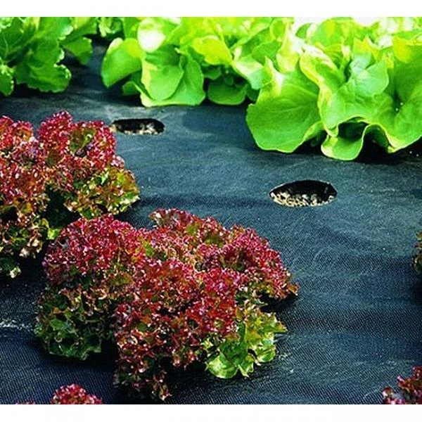 Mulchvlies - Onkruiddoek 5 × 1,5 M - 50g/m² 3 Mulchvlies - Onkruiddoek 5 × 1,5 M - 50g/m²