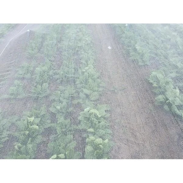 Insectengaas / Klimaatdoek 2 M × 10 M 3 Insectengaas / Klimaatdoek 2 M × 10 M