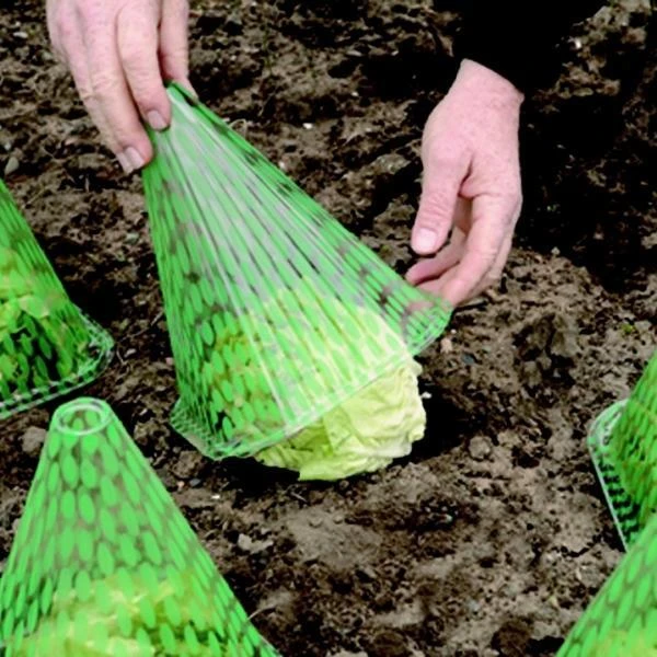 Plantenhoed - Zonnehoed - Set Van 10 Stuks 3 Plantenhoed - Zonnehoed - Set Van 10 Stuks