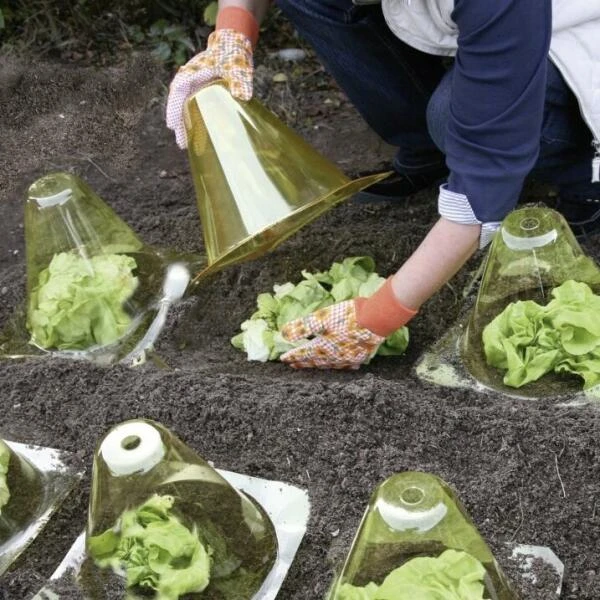 Kunstof PET Plantenhoed - Geel - Set Van 12 Stuks 4 Kunstof PET Plantenhoed - Geel - Set Van 12 Stuks - Afbeelding 2