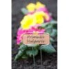 Plantenlabels Koperplaatjes - Set Van 5 Stuks 1 Plantenlabels Koperplaatjes - Set Van 5 Stuks -Tuinadvies plantenlabel verzinkt 1486564763 0 600