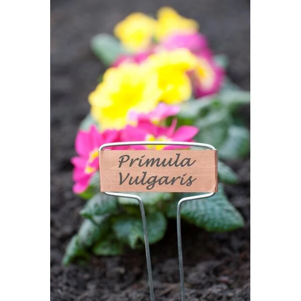 Plantenlabels Koperplaatjes - Set Van 5 Stuks 3 Plantenlabels Koperplaatjes - Set Van 5 Stuks