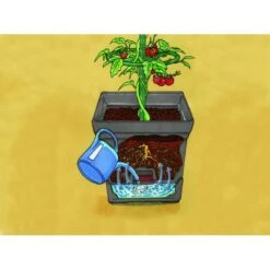 Plantentoren Maxitom Met Waterreservoir - Antraciet 10 Plantentoren Maxitom Met Waterreservoir - Antraciet -Tuinadvies plantentoren maxitom antraciet 1677571235 3 600