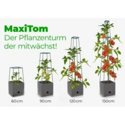 Plantentoren Maxitom Met Waterreservoir - Antraciet 11 Plantentoren Maxitom Met Waterreservoir - Antraciet -Tuinadvies plantentoren maxitom antraciet 1677571236 4 600