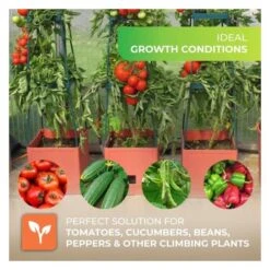 Plantentoren Maxitom Met Waterreservoir - Antraciet 13 Plantentoren Maxitom Met Waterreservoir - Antraciet -Tuinadvies plantentoren maxitom antraciet 1677571269 1 600