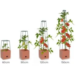 Plantentoren Maxitom Met Waterreservoir - Terracotta 13 Plantentoren Maxitom Met Waterreservoir - Terracotta -Tuinadvies plantentoren maxitom terracotta 1680165024 1 600