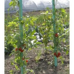 Plantensteun Voor Tomaten Met Waterreserve - 150 Cm -Tuinadvies plantsteun voor tomaten met waterreserve 1m50 1602162237 2 600