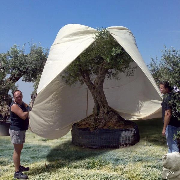 Reuze Thermobeschermhoes Voor Planten - 250 X 360 Cm 6 Reuze Thermobeschermhoes Voor Planten - 250 X 360 Cm - Afbeelding 4