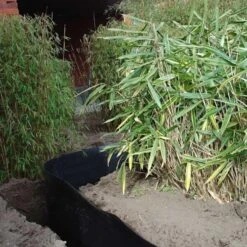 Rootblock Professionele Wortelwering 60 Cm Hoog - / Strekkende Meter -Tuinadvies rootblock professionele wortelwering 1552733360 3 600