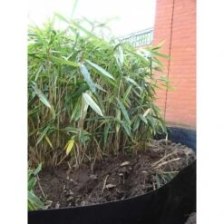 Rootblock Professionele Wortelwering 60 Cm Hoog - / Strekkende Meter -Tuinadvies rootblock professionele wortelwering 1552733360 5 600