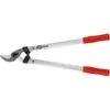 Takkenschaar Felco 211-60 - 60 Cm -Tuinadvies takkenschaar felco 21160 1554364796 1 600