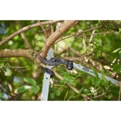 Takkenschaar Felco 211-60 - 60 Cm 7 Takkenschaar Felco 211-60 - 60 Cm -Tuinadvies takkenschaar felco 21160 1554364796 2 600