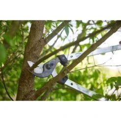 Takkenschaar Felco 211-60 - 60 Cm 9 Takkenschaar Felco 211-60 - 60 Cm -Tuinadvies takkenschaar felco 21160 1554364796 4 600