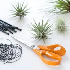 Universele Schaar Classic 21 Cm - Fiskars -Tuinadvies universele schaar classic 21cm 1621501070 1 600