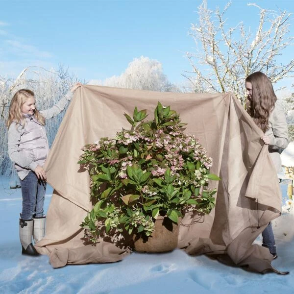 Beschermhoes Extreme Planten - Ø 200 × 300 Cm 5 Beschermhoes Extreme Planten - Ø 200 × 300 Cm - Afbeelding 3