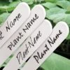Waterbestendige Stift Zwart Voor Plantenlabels 1 Waterbestendige Stift Zwart Voor Plantenlabels -Tuinadvies waterbestendige stift zwart 1484062288 2 600