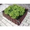 Wilgentenen Plantenbed - 60 × 60 × 20 Cm -Tuinadvies wilgentenen plantenbed large 1484056225 1 600