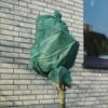Rozen Winterhoezen - Groen - Set Van 2 Stuks -Tuinadvies winterhoes rozen groen 1484054071 1 600