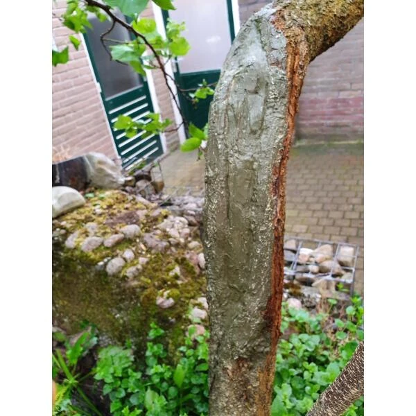 Compo Wondafdekmiddel - Lac Balsam 3 Compo Wondafdekmiddel - Lac Balsam - Afbeelding 2